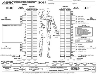 Thoracic and Lumbar Spine and Spinal Cord Injuries (Advances in Neurotraumatology)